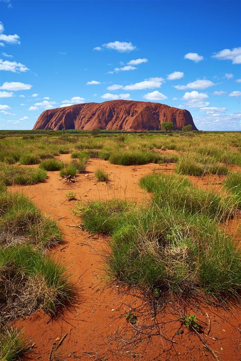 Australian Outback Aesthetic, Ayers Rock Australia, Uluru Australia, Australia Photography, Song Of The Sea, Siren Song, Ayers Rock, Australian Outback, Natural Structures