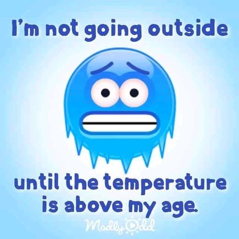 Cold Humor, Cold Jokes, Quotes For Adults, Cold Weather Funny, Winter Jokes, Winter Humor, Funny Weather, Funny Minion Memes, Funny Friday Memes