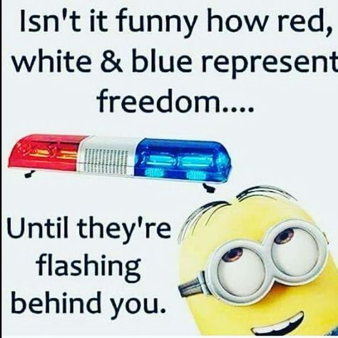 Funny Quotes About Friends, Funny Minions Quotes, Quotes About Friends, Minion Meme, Funny Photographer, Best Funny Quotes, Diet Funny, Minion Memes, Dating Funny