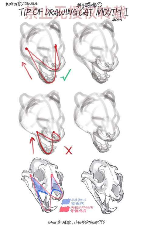 Animal Poses Drawing, Pose With Animal, Anime Reference Pose, Cat Mouth, Feline Anatomy, Cat Drawing Tutorial, Animal Poses, Cat Anatomy, Reference Pose