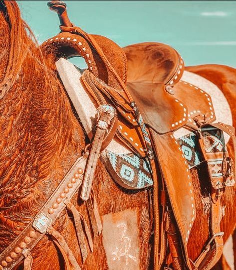 Western Turquoise Aesthetic, Turquoise Cowgirl Aesthetic, Western Widget Pictures, Widgets Western, Turquoise Aesthetic Western, Horse Widgets, Western Widgets, Western Horse Tack Turquoise, Horse Tack Western