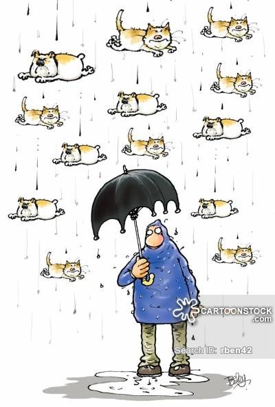 Raining cats and dogs. Artist: Besley, Rupert #humor #rain Too Much Rain Humor, Rain Humor, Cats In The Rain, It's Raining Cats And Dogs Illustration, Rain Memes, Rain Memes Funny, Stop Raining Meme Funny, Dogs Funny, Cat Vector