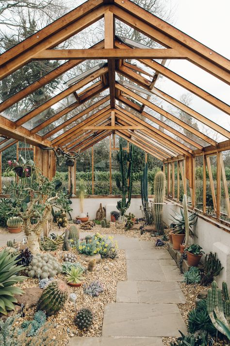 Get to Know the Globetrotting Greenhouse Enthusiasts Fancy Greenhouse, Rustic Greenhouse Ideas, Beautiful Greenhouse, Plant Greenhouse, Greenhouse Garden Aesthetic, Succulent Greenhouse, Luxury Greenhouse, Big Greenhouse, Glass Greenhouse