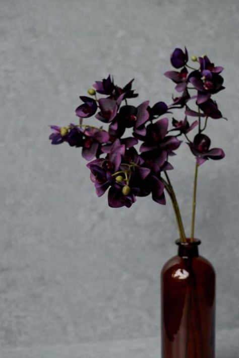 With a tall arching stem full of deep purple petals, this tropical orchid will add a beautiful depth to your vases and bouquets. Its elegance, real touch texture and colour will pair so perfectly with our darker coloured stems like hydrangea damson or banksia. Moody Garden, Tropical Orchid, Orchid Vase, Orchid Bouquet Wedding, Purple Petals, Dark Purple Flowers, Dark Orchid, India Wedding, Abigail Ahern