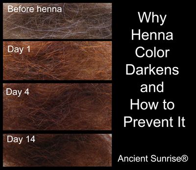 Lush Henna Hair Dye, Blonde Henna, Natural Hair Dyes, Auburn Hair Dye, Henna For Hair, Henna Recipe, How To Darken Hair, Henna Hair Color, Brown Henna