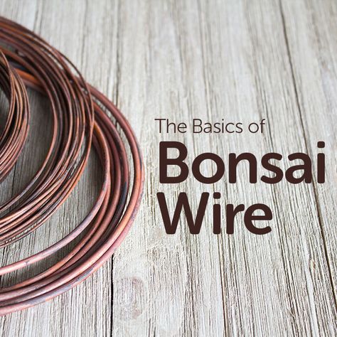 Bonsai Wiring Technique, Bonzi Trees, Bonsai Making, Bonsai Diy, Bonsai Tree Care, Bonsai Techniques, Bonsai Care, Bonsai Wire, Indoor Bonsai Tree