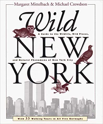 Wild New York: A Guide to the Wildlife, Wild Places, and Natural Phenomenon of New York City: Margaret Mittelbach: 9780517704844: Amazon.com: Books The Power Of Introverts, Grand Central Station, Nature Study, United States Travel, Natural Phenomena, The Hundreds, Kids Boxing, Stories For Kids, Book Format