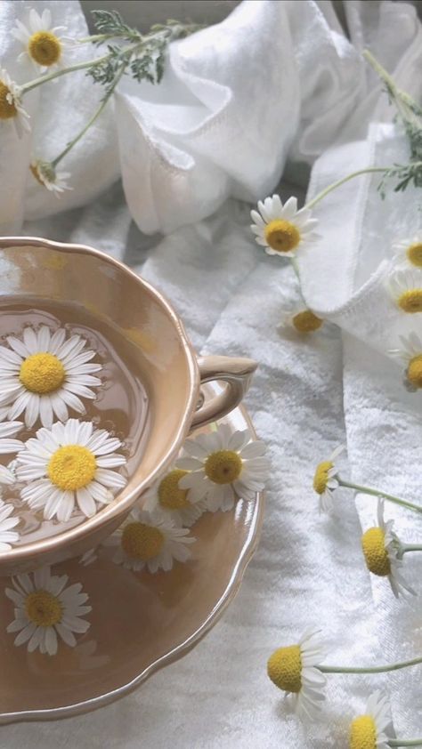 April Asethic, Chamomile Aesthetic, April Wallpaper Aesthetic, Spring Wallpaper Iphone, Aesthetic Spring Wallpaper, Instagram Feed Post, Wallpaper April, Daisy Aesthetic, Welcome April