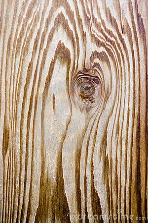 Cedar wood grain by Brad Calkins, via Dreamstime Cedar Wood Projects, Wood Floor Texture, Cedar Boards, Floor Texture, Wood Grain Texture, Cedar Wood, Woodworking Designs, Wood Patterns, Patterns In Nature