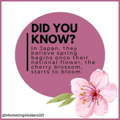 Fun fact! Did you know? Japanese Facts, Rice Crop, Japan Facts, Japanese Diet, Japanese Kids, Intresting Facts, Facts For Kids, Japan Food, Food Staples