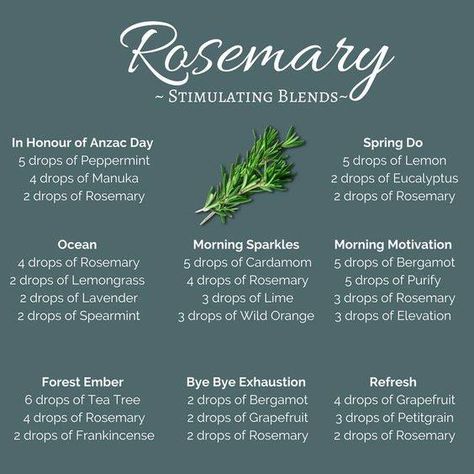 March Diffuser Blends, Rosemary Essential Oil Blends, Rosemary Diffuser Blends, Energizing Diffuser Blends, Doterra Diffuser Blends, Essential Oil Combinations, Essential Oil Diffuser Blends Recipes, Essential Oils Guide, Essential Oil Diffuser Recipes