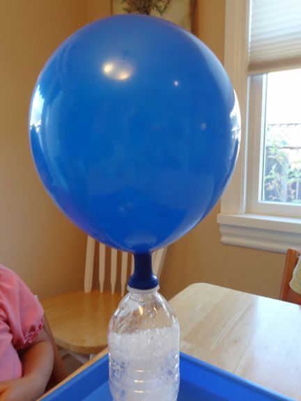 Balloon magic - a fun science activity where you inflate a balloon using baking soda and vinegar || Gift of Curiosity Science Activities For Toddlers, Balloon Experiment, Coding Activities, Cool Science Fair Projects, Camp Games, Science For Toddlers, Stem Experiments, Experiments Kids, February Ideas