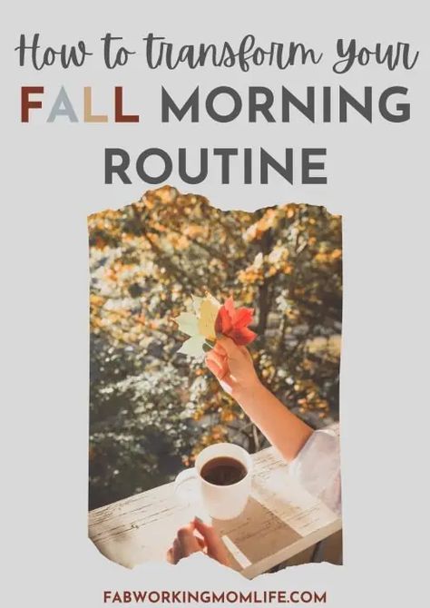 Cozy Fall Morning, Fall Morning Routine, Morning Essentials, Fall Produce, Quick Meditation, Cozy Morning, Pumpkin Cranberry, Working Mom Life, Fall Morning