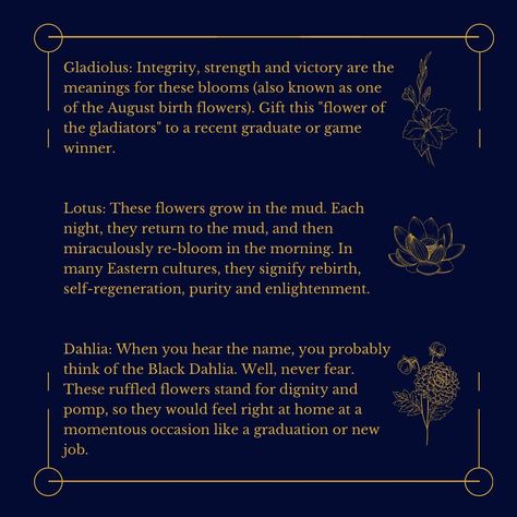 Black Dahlia Flower Meaning, Black Dahlia Meaning, Dahlia Meaning, Dahlia Flower Meaning, Black Dahlia Flower, Character Quirks, Flower Symbolism, Channel Ideas, Spell Books