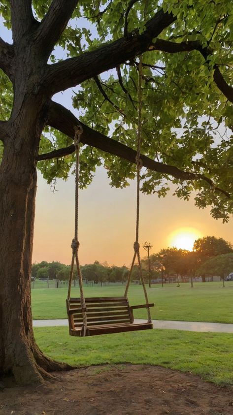 Swing hanging from tree sunset park Nature Canvas Swings On Trees, Tree Swing Ideas, Emotional Oranges, Back Yard Oasis, Tree Swings, Huge Tree, Yard Oasis, Orchard House, Nature Therapy