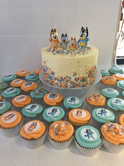 Bluey 2nd Birthday Cupcakes, Bluey Cake With Cupcakes, Bluey Birthday Cupcake Cake, Bluey Bingo Pull Apart Cupcakes, Bluey Birthday Party For Siblings, Bluey Bingo Birthday Cupcakes, 1st Birthday Bluey Theme Smash Cake, Bluey Bingo Smash Cake, Bluey Cake And Cupcakes