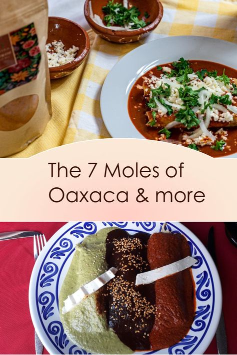 Pati Jinich Mole Recipes, Oaxaca Mole Recipe, Leftover Mole Recipes, Authentic Mole Recipe, Mole Sauce Authentic, Authentic Mole Recipe Mexico, Spicy Mole Recipe Mexican, Oaxacan Mole Recipe, Mole Recipe Mexican Authentic