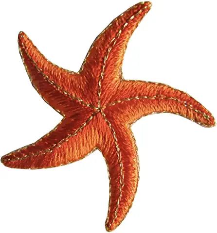 Amazon.com : starfish appliques Mermaid Headpiece, Stella Marina, Applique Patches, Gold Colors, Embroidered Applique, Marine Animals, Appliqué Patch, Ocean Life, Amazon Art