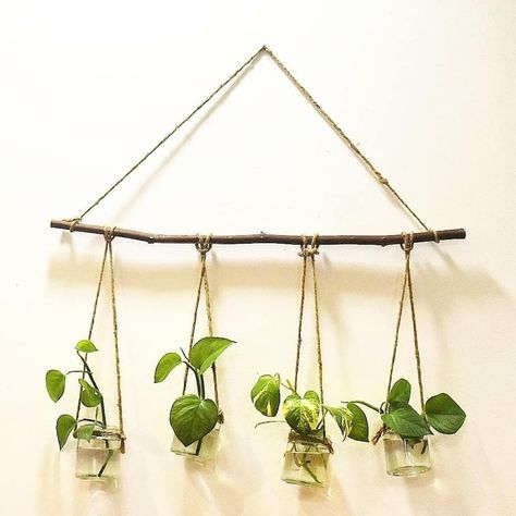 Pot Gantung, Hanging Plants Diy, Plant Wall Decor, Creative Wall Decor, Diy Glass Bottle Crafts, Diy Plant Hanger, Craft Room Decor, Plant Decor Indoor, Plant Aesthetic