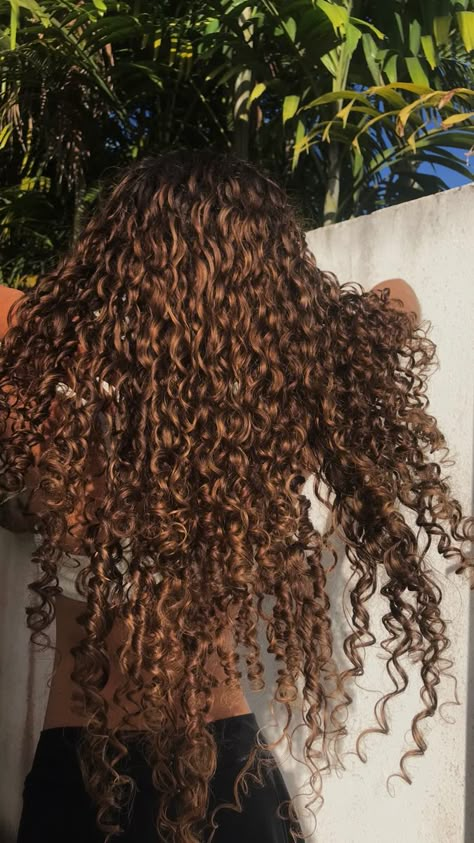 Long Curly Hair Light Brown, Sun Kissed Curly Hair Highlights, Golden Brown Curly Hair, Chocolate Brown Curly Hair, Long Brown Curly Hair, Long Natural Curly Hair, Dyed Curly Hair, Mixed Curly Hair, Honey Brown Hair