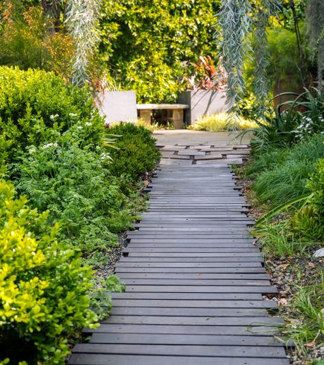 Leading the Eye In. A front-yard boardwalk made up of mostly slats of ipe wood gives the garden a sense of journey that Gimbel loves. Garden Boardwalk, Japanese Inspired Garden, Outdoor Improvements, Painted Garden Rocks, River Rock Garden, Outdoor Walkway, Path Ideas, Ipe Wood, Landscaping Inspiration