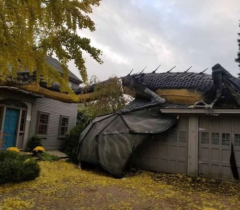 This Full-Sized Dragon Decoration Someone Put On Their House For Halloween Halloween In New York, Halloween Garden Decorations, Creative Halloween Decorations, Dragon Halloween, Breathing Fire, What Is Halloween, Halloween Witch Decorations, Halloween Memes, Homemade Halloween Decorations