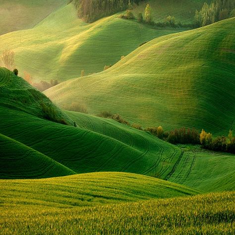 LOVE rolling hills and open spaces...ready...3..2..1..jump and roll!!! Uk Scenery, Toscana Italia, Green Hills, Rolling Hills, Alam Yang Indah, Reykjavik, Pretty Places, Vacation Spots, Dream Vacations