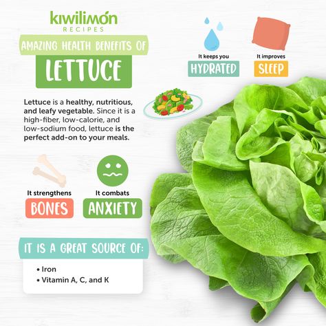 Benefits Of Lettuce, Lettuce Benefits, Vege Garden, Cucumber Canning, Food Benefits, Prediabetic Diet, Iron Vitamin, Vegetable Tray, Green Food