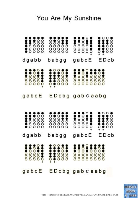 You Are My Sunshine Flute Sheet Music, Easy Tin Whistle Songs, Songs On Recorder, Tin Whistle Tabs Songs Easy, Recorder Notes Songs, Tin Whistle Notes, Tin Whistle Songs, Tin Whistle Tabs Songs, Flute Chords