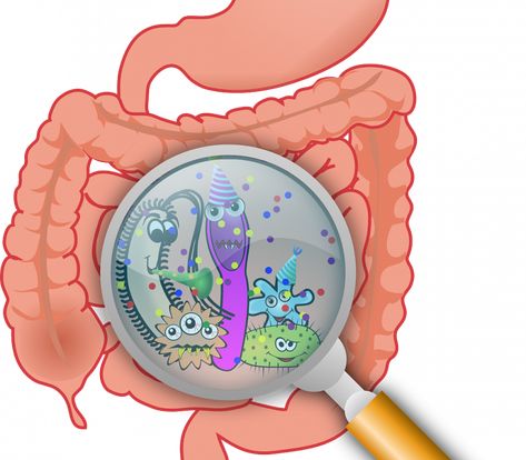 The Connection between Your Gut, Your Diet & Parkinson’s Disease Fever Symptoms, Contaminated Food, Digestive Issues, Gut Microbiota, Bone Loss, Leaky Gut, Colon Cleanse, Water Filtration System, Omega 3