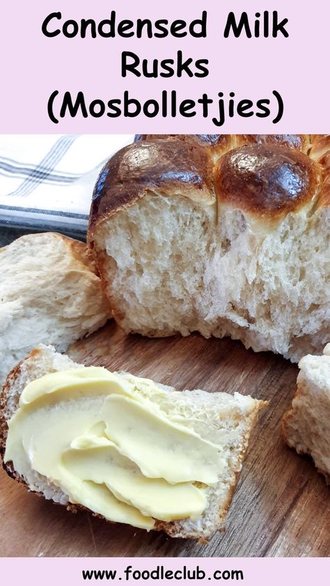 A piece of soft rusk or mosbolletjie smothered in butter in front of a loaf of just-baked rusks. Buttermilk Rusks Recipe South Africa, Mosbolletjies Recipe, Rusks Recipe South Africa, Condensed Milk Rusks, South African Rusks, Ancient Grains Bread, Buttermilk Rusks, Rusk Recipe, South African Recipes