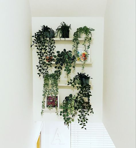 I have wondered what to do with this plain and awkward stair well for several years, and after a bit if inspiration and an Ikea delivery I created this. Fresh and funky! Bringing the outdoors indoors. Under Stairs Wall Decor Ideas, Above Stairs Decor Wall, Stairway Plants, Space Above Stairs, Wall Above Stairs, Above Stairs Decor, Stairs Wall Decor Ideas, Stairs Wall Decor, Hallway Stairs And Landing