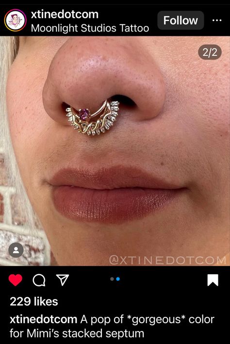 Stacked Septum Piercing, Stacked Septum Ring, Septum Stack, Stacked Septum, Pupil Hall, Small Septum, Stretched Septum, Nose Ring Jewelry, Stacked Rings