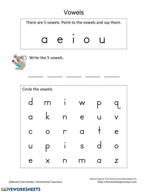 Vowels For Kindergarten, Vowels Kindergarten, Long Vowel Worksheets, Teaching Vowels, Nursery Worksheets, Vowel Activities, Printable Alphabet Worksheets, Kindergarten Phonics Worksheets, English Worksheets For Kindergarten