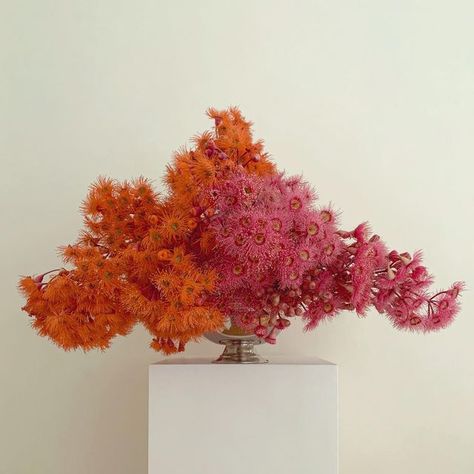 lisa cooper on Instagram: "the ancients (2)." Sculptural Flowers, Lisa Cooper, Modern Floral Arrangements, Flower Therapy, Deco Floral, Modern Flower, Modern Floral, Floral Centerpieces, Ikebana