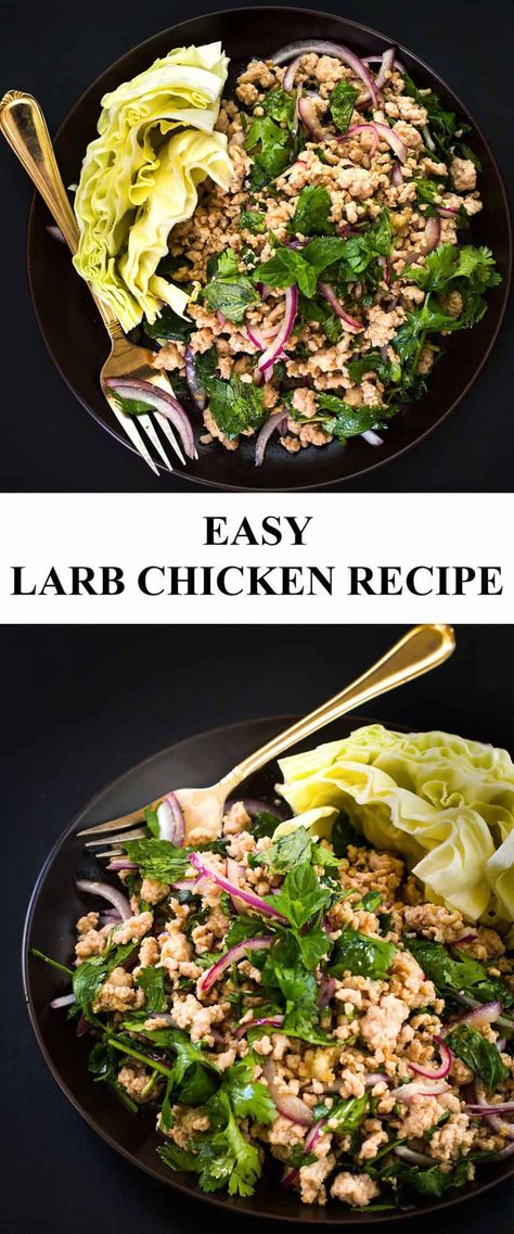 Easy Larb Recipe, Larb Salad, Chicken Larb, Larb Recipe, Hmong Food, Recipe With Chicken, Khmer Food, Cambodian Food, Minced Meat