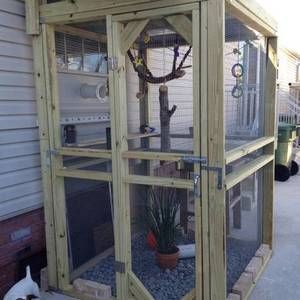 Outdoor Marmoset (monkey) cage - RYOBI Nation Projects Monkey Enclosure, Ferret Ideas, Outdoor Aviary, Monkey Cage, Pet Squirrel, Monkey Room, Squirrel House, How To Build Abs, Finger Monkey