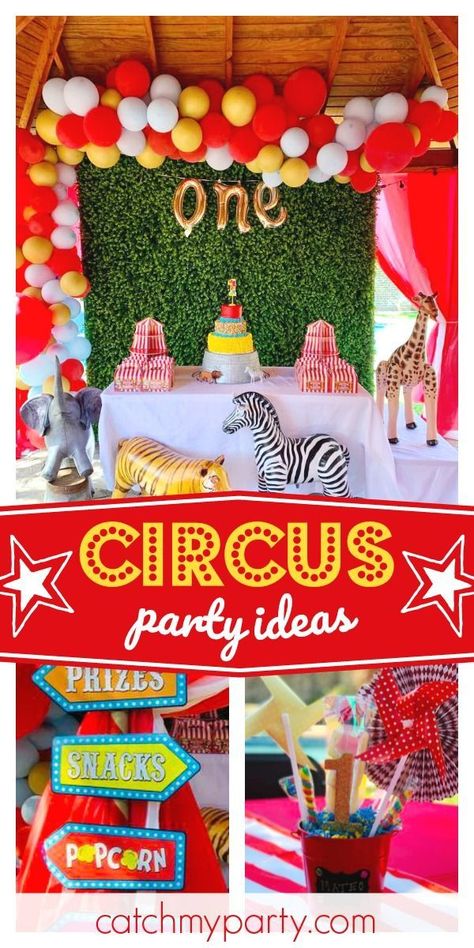 Don't miss this fun circus 1st birthday party! The party decorations are awesome! Love the popcorn balloon arch!  See more party ideas and share yours at CatchMyParty.com #catchmyparty #partyideas #circusparty #circus #girl1stbirthdayparty Popcorn Balloon Arch, Circus 1st Birthday Party, Popcorn Balloon, Circus First Birthday, Circus 1st Birthdays, Girl Dinosaur Birthday, Circus Carnival Party, Hosting Tips, Boys 1st Birthday Party Ideas