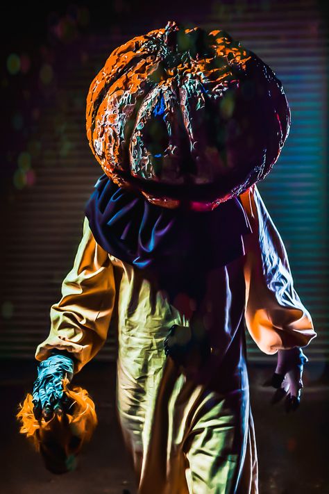 #halloween #pumpkin #pumpkinhead #thegreatpumpkinking #thepumpkinking #horror #photographery #pumpkinclown #clown Pumpkin Clown, Clown Pumpkin, Dollar Store Halloween, Pumpkin Head, Halloween 2, Ryan Gosling, Be Careful, Halloween Pumpkin, Your Head