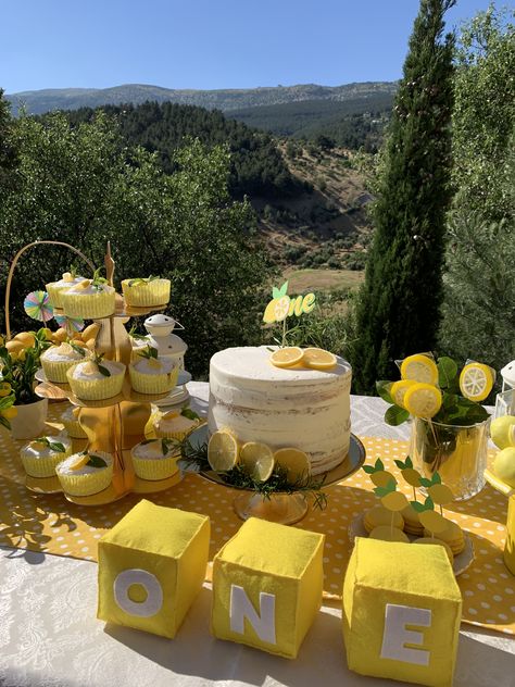 Lemon Yellow Birthday Theme, Lemon Birthday Decoration, Lemon Theme Birthday Party Decorations, Lemons Birthday Theme, Lemon First Birthday Party, First Birthday Lemon Theme, 1st Birthday Lemon Theme, Lemon One Year Birthday, Capri Birthday Theme