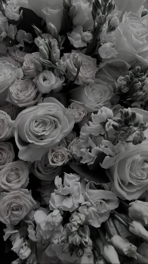 Goth Wallpaper, Black And White Picture Wall, Dark Flowers, Grey Flowers, Gray Aesthetic, Iphone Wallpaper Themes, Dark Wallpaper Iphone, Aesthetic Photography Grunge, Animation Background