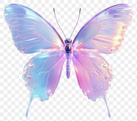 Png Accessories, Holographic Butterfly, Png Butterfly, Pastel Butterfly, Wings Png, Desktop Icons, Pastel Butterflies, Butterfly Butterfly, Png Icons