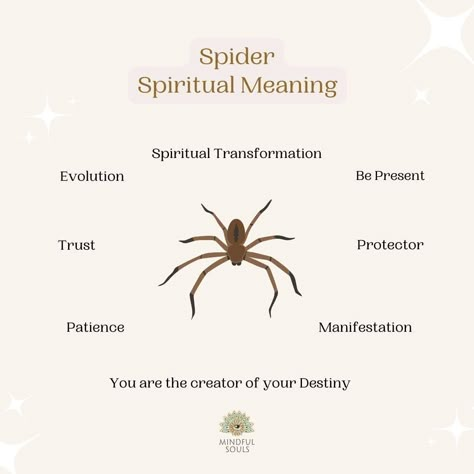 Spider Spiritual Meaning, Spirit Animal Meaning, Animal Meanings, Spirit Signs, Spiritual Psychology, Spiritual Animal, Animal Spirit Guides, Animal Symbolism, Dream Symbols