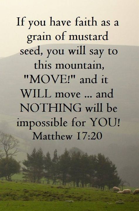 Matthew 17:20 (KJV)  20 And Jesus said unto them, Because of your unbelief: for verily I say unto you, If ye have faith as a grain of mustard seed, ye shall say unto this mountain, Remove hence to yonder place; and it shall remove; and nothing shall be impossible unto you. Motivation Positive, A Course In Miracles, Ayat Alkitab, Jesus Christus, Prayer Scriptures, The Perfect Guy, Favorite Bible Verses, Faith Inspiration, Mustard Seed