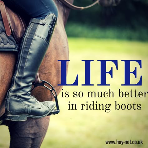 Equine Quotes, Horse Quote, Inspirational Horse Quotes, Horse Riding Quotes, Equestrian Quotes, Cowgirl Quotes, Riding Quotes, Horse Inspiration, Equestrian Helmet