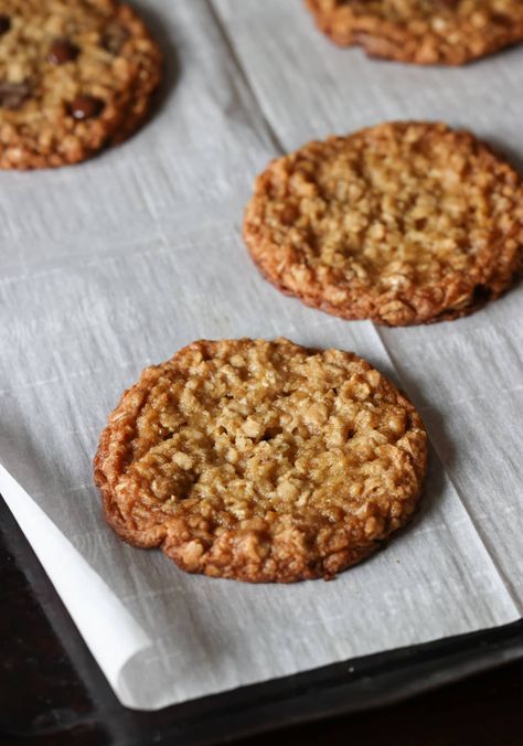 Crunchy Oatmeal Chocolate Chip Cookies, Oatmeal Raisin Cookies Crunchy, Moist Oatmeal Chocolate Chip Cookies, Oatmeal Crunchies Recipe, Plain Oatmeal Cookies, Easy Oatmeal Desserts, Crispy Oatmeal Cookies Healthy, Oatmeal Crisps Cookies, Oatmeal Crisp Cookies