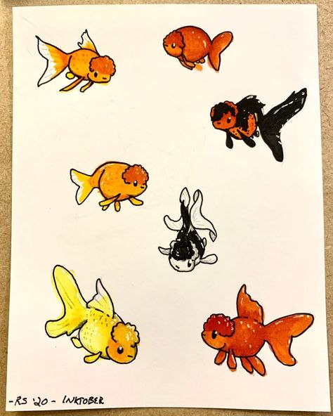 Goldfish Cartoon Drawing, Goldfish Tank Drawing, Cartoon Goldfish Tattoo, Goldfish Drawing Reference, Ranchu Fish Drawing, Oranda Goldfish Drawing, Fancy Goldfish Drawing, Cute Goldfish Drawing, Goldfish Tattoo Simple