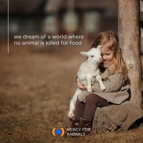 Let's build that world together. 💙⠀ .⠀ .⠀ .⠀ #govegan #vegansofig #mercyforanimals #loveanimals #babyanimals #lovemydog #kindness… Vegan People, Mercy For Animals, Vegan Shirts, Animal Liberation, Lessons Learned In Life, Good Mental Health, Vegan Life, Animal Welfare, Animal Rights