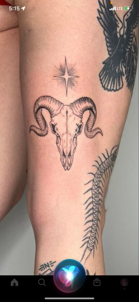 Ram Skull Back Tattoo, Goats Head Tattoo, Ram Skeleton Tattoo, Goat Tattoos For Women, Black Ram Tattoo, Ramskull Tattoo Design, Ram Tattoo Aries Women, Capricorn Tattoo Designs For Women, Alien Cow Tattoo