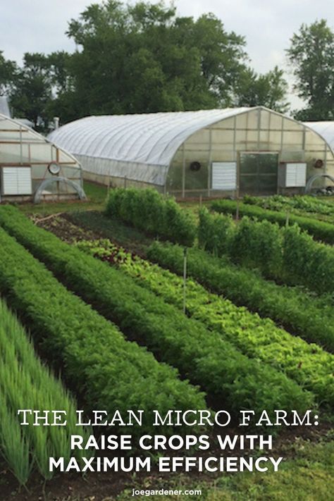 Whether you have a small space that you want to make more productive or you have a sprawling garden that you struggle to maintain, you can start a micro farm. Here's what you need to know about lean micro gardens and how to raise crops for maximum efficiency. (Photo Courtesy of Ben Hartman) Micro Farm Layout, 1 Acre Homestead, Micro Garden, Micro Farm, Organic Agriculture, Acre Homestead, Homesteading For Beginners, Backyard Farm, Farm Layout